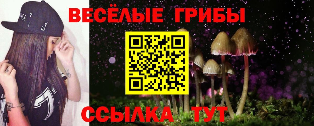 Галлюциногенные грибы мухоморы  купить наркотик  Богородск  Вход с VPN 